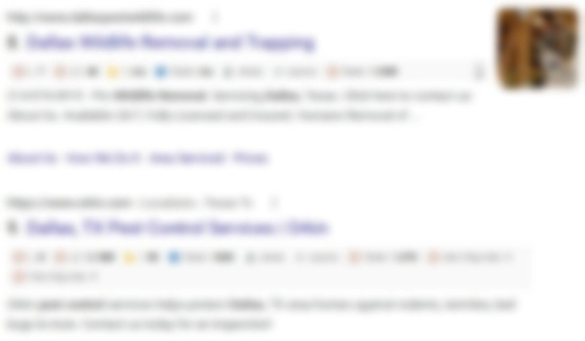 A google search showing two different pest control services and the importance of SEO 